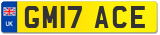 GM17 ACE