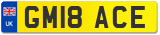 GM18 ACE