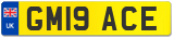 GM19 ACE