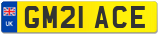 GM21 ACE