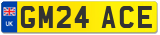 GM24 ACE