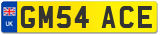 GM54 ACE