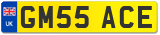 GM55 ACE