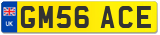 GM56 ACE