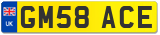 GM58 ACE