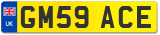 GM59 ACE