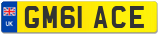 GM61 ACE