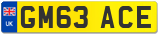 GM63 ACE