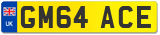 GM64 ACE