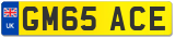 GM65 ACE