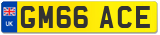 GM66 ACE