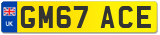 GM67 ACE
