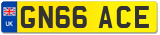GN66 ACE