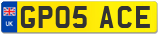 GP05 ACE