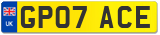 GP07 ACE