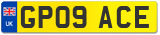 GP09 ACE