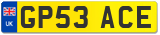 GP53 ACE