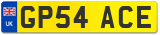 GP54 ACE