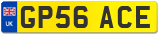 GP56 ACE