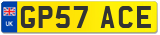 GP57 ACE