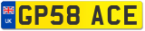 GP58 ACE