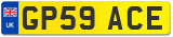 GP59 ACE