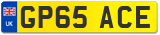 GP65 ACE