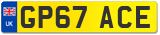 GP67 ACE