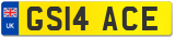 GS14 ACE
