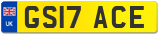 GS17 ACE