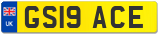 GS19 ACE