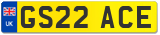 GS22 ACE