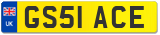 GS51 ACE