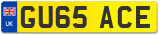 GU65 ACE