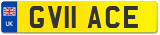 GV11 ACE