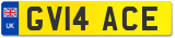 GV14 ACE