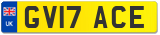 GV17 ACE