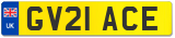 GV21 ACE