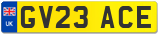 GV23 ACE