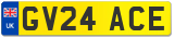 GV24 ACE