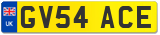 GV54 ACE