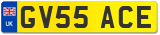 GV55 ACE