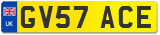 GV57 ACE