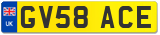 GV58 ACE