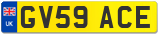 GV59 ACE