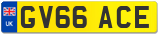 GV66 ACE