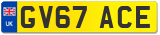 GV67 ACE