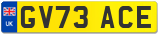 GV73 ACE