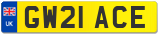 GW21 ACE