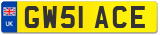 GW51 ACE